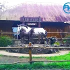 Gambar 1 PerusahaanABERTA RENTAL Travel Agents di Bandung JB