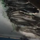 Gambar 110 PerusahaanANUGERAH 88 Motorcycles Parts - Retail di Kota Tanjung Balai SU