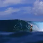 Gambar 1 PerusahaanBORASPATI EXPRESS TOUR OPERATOR & TRAVEL AGENCY SERVICE PT Travel Consultant di Kota Medan SU