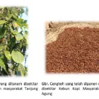 Gambar 3 PerusahaanLEMBAGA WAHANA BUMI HIJAU Organizations - Civic And Social di Palembang City SS