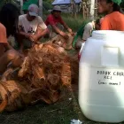 Gambar 5 PerusahaanLEMBAGA WAHANA BUMI HIJAU Organizations - Civic And Social di Palembang City SS