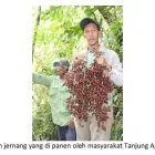 Gambar 6 PerusahaanLEMBAGA WAHANA BUMI HIJAU Organizations - Civic And Social di Palembang City SS