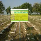 Gambar 2 PerusahaanMAS JAHE JOMBANG Herbal Product di Kabupaten Jombang JI