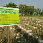 Gambar 3 PerusahaanMAS JAHE JOMBANG Herbal Product di Kabupaten Jombang JI