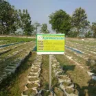 Gambar 4 PerusahaanMAS JAHE JOMBANG Herbal Product di Kabupaten Jombang JI