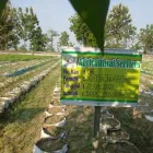 Gambar 5 PerusahaanMAS JAHE JOMBANG Herbal Product di Kabupaten Jombang JI