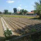 Gambar 10 PerusahaanMAS JAHE JOMBANG Herbal Product di Kabupaten Jombang JI