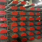 Gambar 2 PerusahaanMITRA TAMA GEMILANG PT Steel Distributors & Wholesale di Bekasi JB