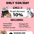 Gambar 1 PerusahaanPAW PETHOTEL Pet Shops di Kota Surabaya JI