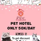 Gambar 1 PerusahaanPAW PETSHOP AND CARE Petroleum - Products di Kota Surabaya JI