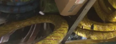 Gambar 97 PerusahaanANUGERAH 88 Motorcycles Parts - Retail di Kota Tanjung Balai SU