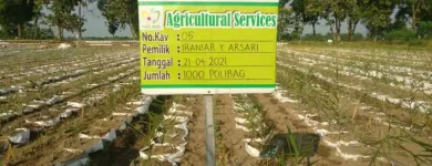 Gambar 2 PerusahaanMAS JAHE JOMBANG Herbal Product di Kabupaten Jombang JI