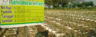 Gambar 3 PerusahaanMAS JAHE JOMBANG Herbal Product di Kabupaten Jombang JI
