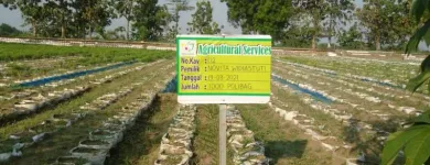 Gambar 4 PerusahaanMAS JAHE JOMBANG Herbal Product di Kabupaten Jombang JI
