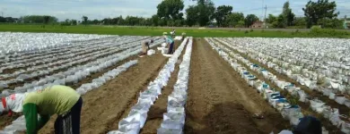 Gambar 9 PerusahaanMAS JAHE JOMBANG Herbal Product di Kabupaten Jombang JI