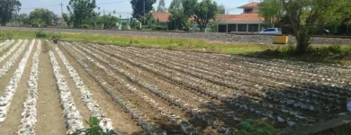 Gambar 10 PerusahaanMAS JAHE JOMBANG Herbal Product di Kabupaten Jombang JI