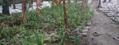 Gambar 12 PerusahaanMAS JAHE JOMBANG Herbal Product di Kabupaten Jombang JI