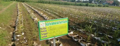 Gambar 13 PerusahaanMAS JAHE JOMBANG Herbal Product di Kabupaten Jombang JI