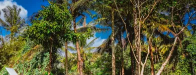 Gambar 1 PerusahaanSAMASTITI VILLA UBUD: HOLIDAY RENTAL NEAR THE YOGA BARN Rental Housing di Kabupaten Gianyar BA