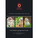 PAW PETHOTEL Pet Shops di Kota Surabaya JI