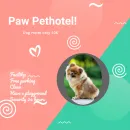 PAW PETSHOP AND CARE Petroleum - Products di Kota Surabaya JI
